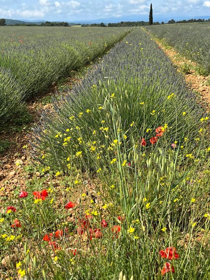 Gite Harmonie Greoux-les-Bains Bagian luar foto