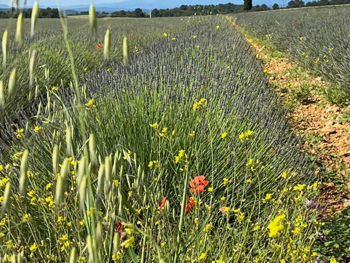 Gite Harmonie Greoux-les-Bains Bagian luar foto