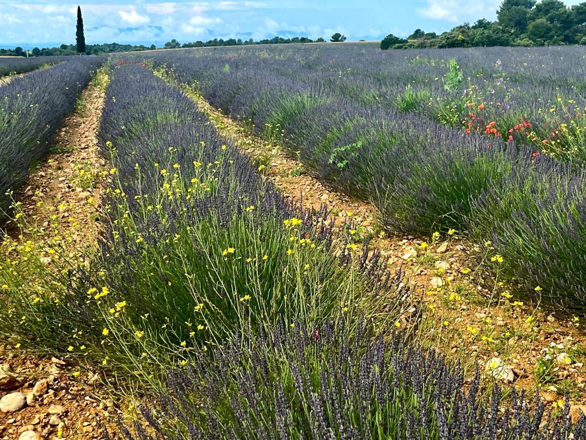 Gite Harmonie Greoux-les-Bains Bagian luar foto